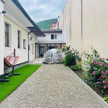 Schei Brasov-Скей Брашов Apartment Exterior foto