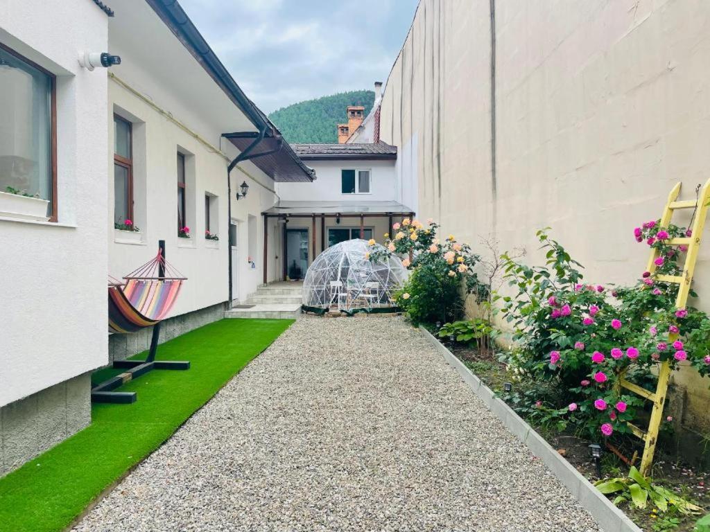 Schei Brasov-Скей Брашов Apartment Exterior foto